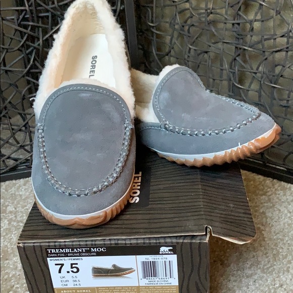 champion track shoes